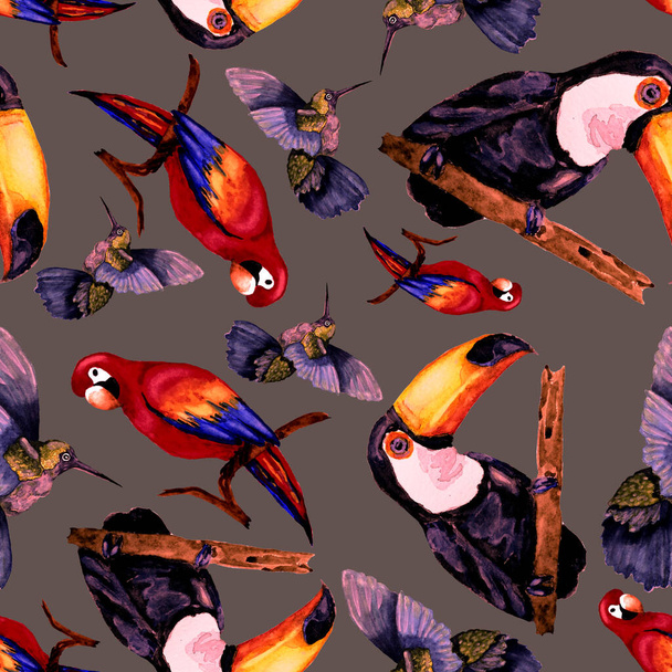 Aquarel naadloos patroon met toekan, papegaai en kolibrie. Zomer tropische illustratie. Naadloze abstracte wilde exotische dierenprint. Schattig cartoon wild dier. - Foto, afbeelding