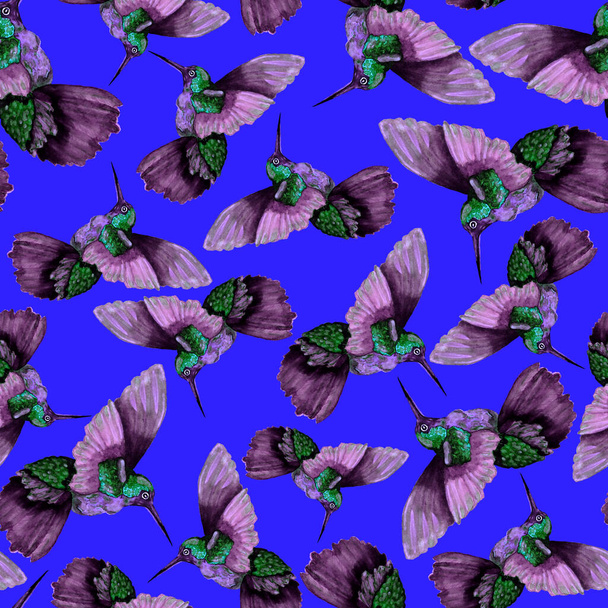 Watercolor seamless pattern with hummingbird. Watercolor illustration with colorful hummingbird for any kind of design. Seamless fabric texture. - Valokuva, kuva