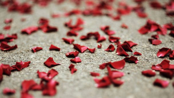 Piros rózsaszirmok a szürke padlón. Boldog szülinapot! Romantikus Valentin nap. - Fotó, kép