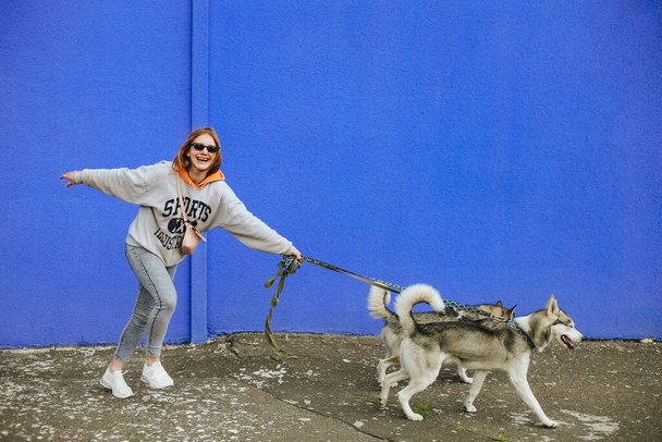 Isolated photo of girl walking with her pets siberian husky on blue background. Devotion, loyalty, soulmates, friendship with dog. - Photo, Image