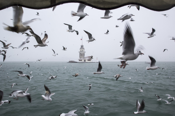 Maiden's Tower (Kiz Kulesi) winter with snow and there are birds around, from Istanbul, Turkey - Photo, Image