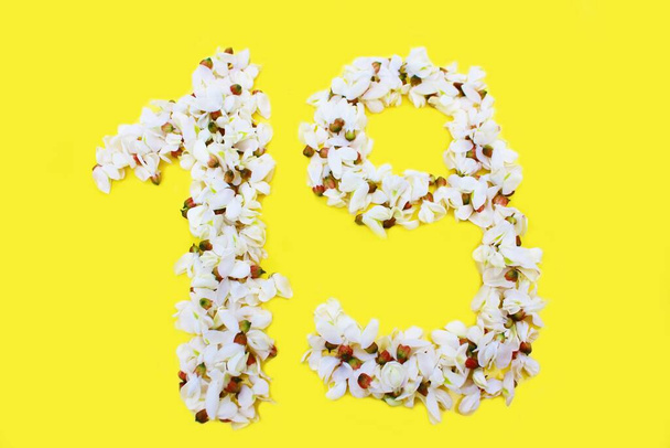 Il numero 19 è scritto in fiori di acacia bianca su fondo giallo. Il numero diciannove è scritto in colori freschi, isolato su giallo. Numeri arabi fiancheggiati da fiori
. - Foto, immagini