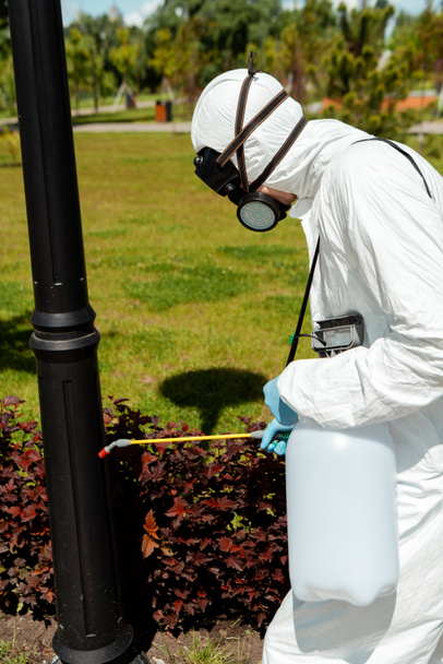 professionele specialist in hazmat pak en masker desinfecterende lantaarnpaal in park tijdens coronavirus pandemie - Foto, afbeelding