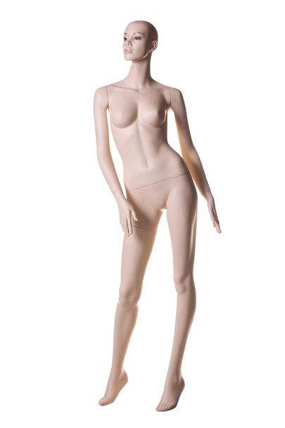 mannequin geïsoleerd op wit - Foto, afbeelding