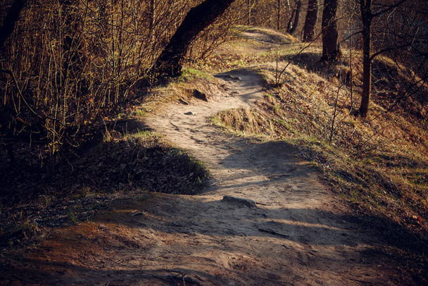 Sunlit beautiful winding path in nature - Фото, зображення