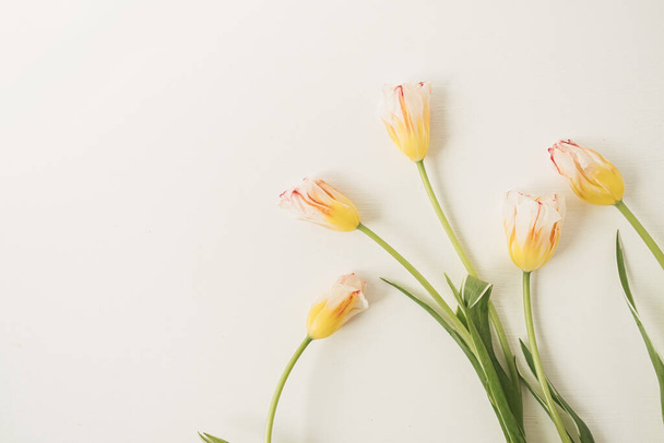Coloridas flores de tulipán sobre fondo blanco. Piso laico, vista superior floral fiesta celebración composición. Boda, San Valentín, Día de la Madre. - Foto, imagen