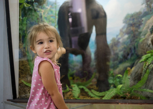 Küçük kız dinozorlar için arama paleontoloji müzesi keşfetmek. Eğitim zaman kavramı. - Fotoğraf, Görsel