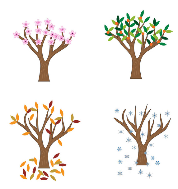 four seasons trees on white background, simply vector illustration  - Vetor, Imagem
