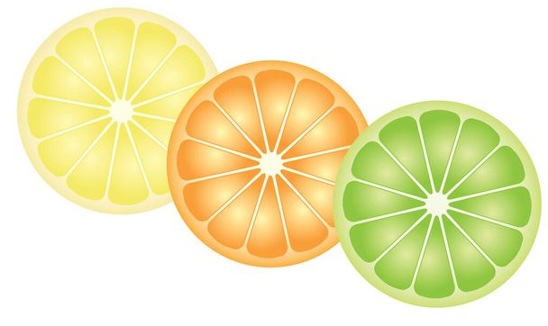 Citrusvruchten, citroen-, sinaasappel- en limoenschijfjes - Vector, afbeelding