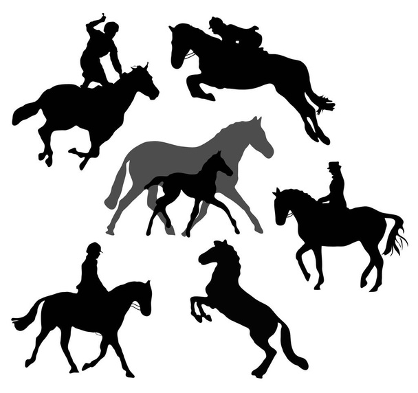 Kůň siluety izolované na bílém pozadí - Vektor, obrázek