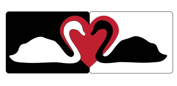 Design del cigno bianco e nero con cuore sullo sfondo
  - Vettoriali, immagini