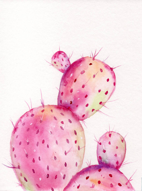 Une carte cadeau aquarelle ou une affiche avec des cactus rose vif
 - Photo, image