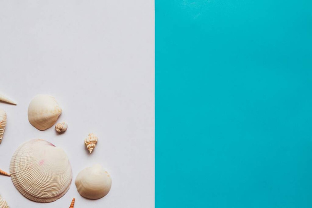 Summer flat lay: seashells on a white-blue background. Concept: summer vacation at sea in the tropics - Foto, Imagen