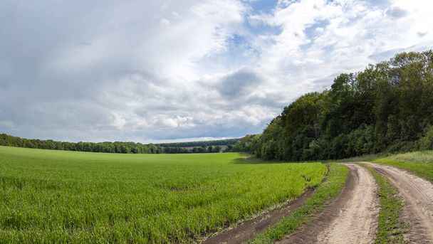Водіння сільської брудної дорожньої панорами. Сільська місцевість, що проходить через зелене весняне пшеничне сільське господарство з зеленими деревами та блакитним яскравим небом
 - Фото, зображення