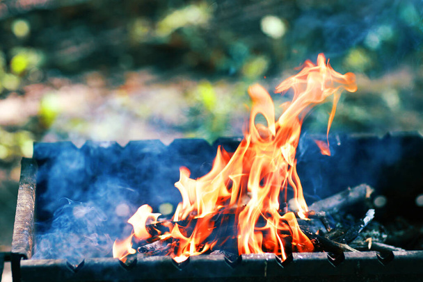 ogień w brazir zamknąć przygotowania do grillowania - Zdjęcie, obraz