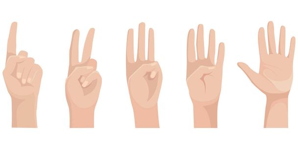 Set of human hands with raised up fingers. Wrists in cartoon style. - Vector, Image