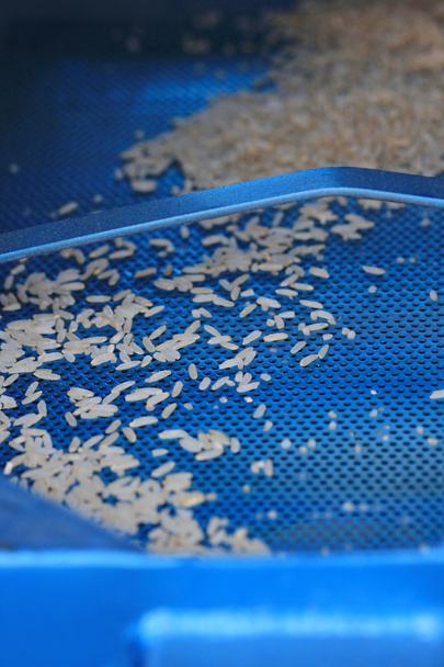 arroz crudo en máquina de molino de arroz
 - Foto, imagen
