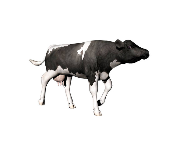 Корова як постачальник м'яса біжить у пасовищі
 - Фото, зображення