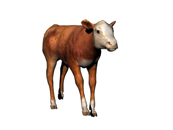 Vaca como um fornecedor de carne corre ao redor no pasto
 - Foto, Imagem