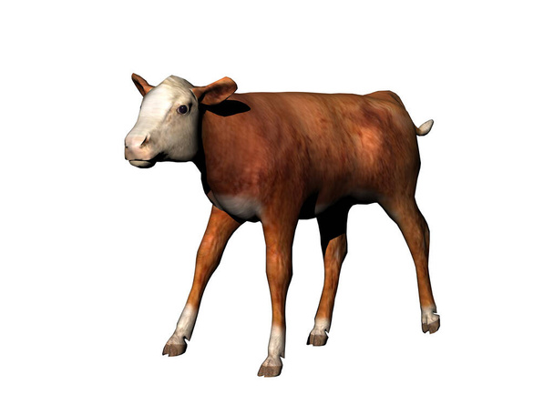 Vaca como um fornecedor de carne corre ao redor no pasto
 - Foto, Imagem