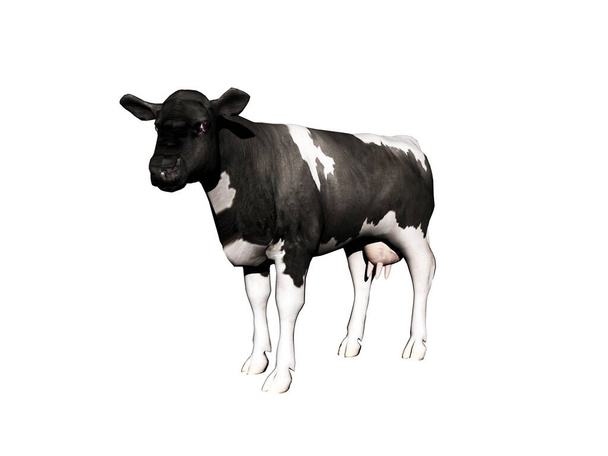 Koe als vleesleverancier loopt rond in de wei - Foto, afbeelding