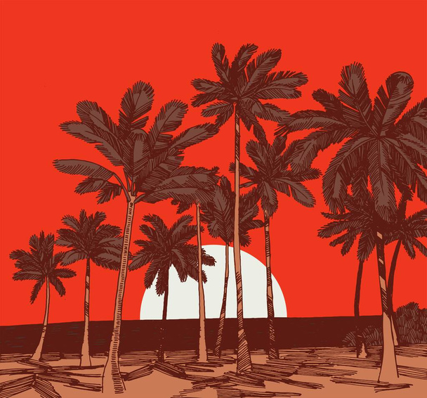Auringonnousu hiekkarannalla palmujen vektorikuvituksella. Auringonlasku palmurannalla. - Vektori, kuva
