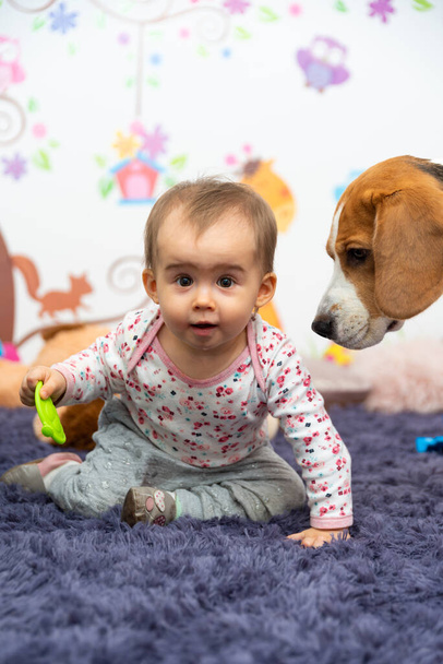 Bambina di 1 anno con cane in camera masticando il giocattolo di gomma. animali domestici con concetto di babys
 - Foto, immagini