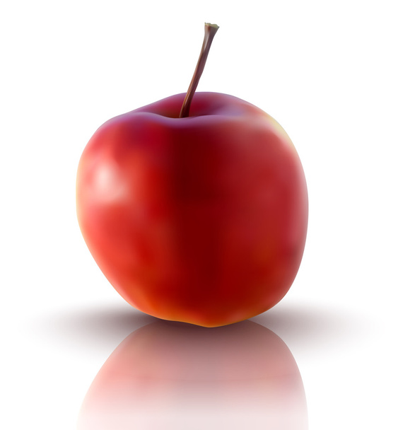 vector illustration of red apple - Vector, Image