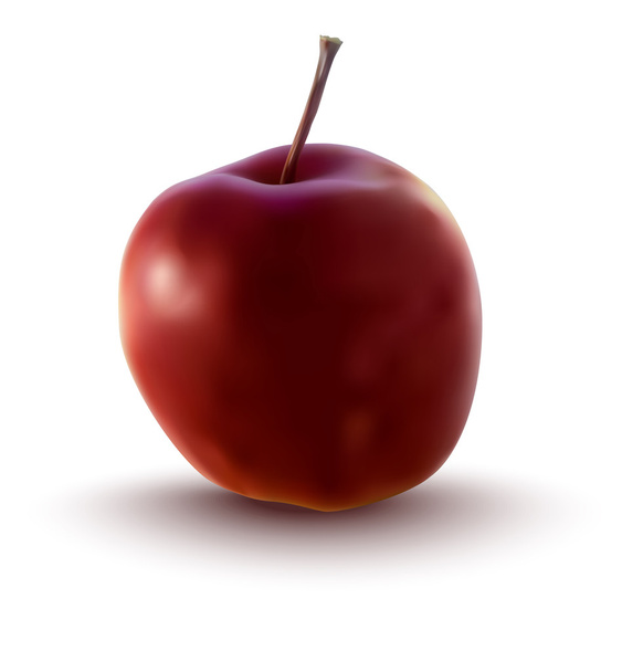 vektorová ilustrace červeného jablka - Vektor, obrázek