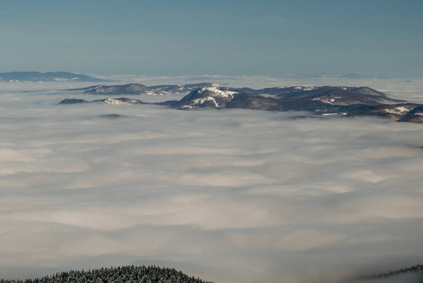 Zimní ráno na horském masivu s hustou mlhou a sněhem - Fotografie, Obrázek