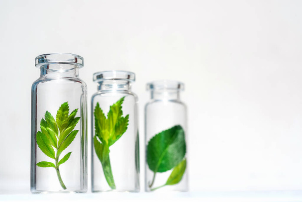 Botellas con hierbas, aceite esencial natural, cosméticos orgánicos sobre fondo blanco
 - Foto, Imagen