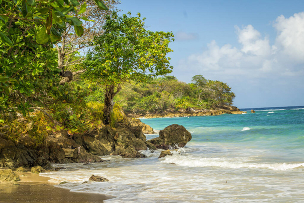 вид на красивое бирюзовое Карибское море и пышную растительность на скрытом пляже Ямайки
 - Фото, изображение