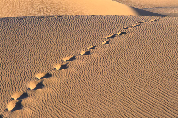 Кроки в Національному парку Долина Смерті (Каліфорнія, США) - Фото, зображення