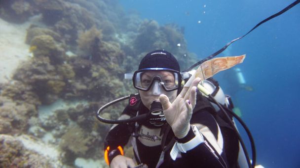дайвер наслаждается красотой подводного мира
 - Фото, изображение