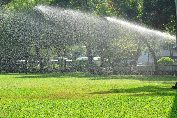 Irrigazione prato verde
 - Foto, immagini
