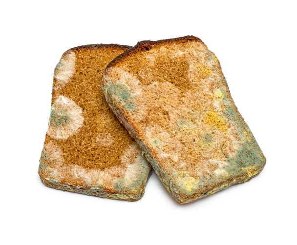μουχλιασμένο ψωμί σίκαλης - Φωτογραφία, εικόνα