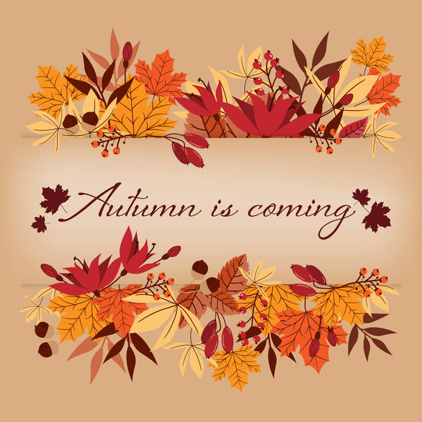 Autumn banner of Autumn is coming text on autumn leaves, acorns and berries frame on brown background. Vector illustration. - Vector, Image