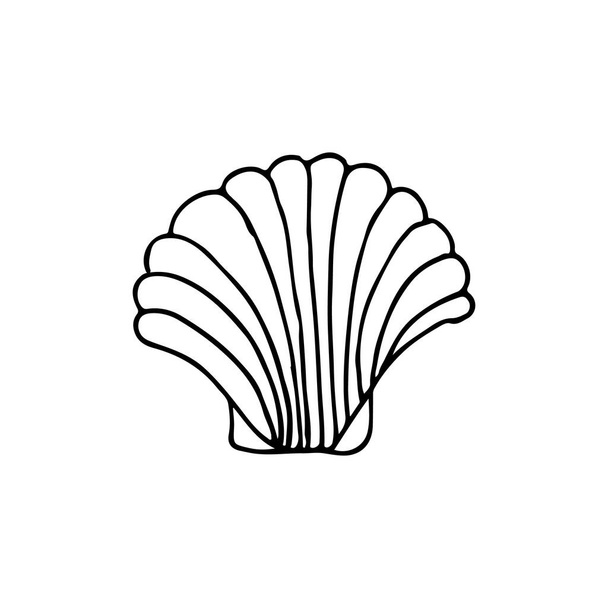 Icono de concha marina Doodle. Icono de concha marina dibujado a mano. Doodle ilustración de concha marina
 - Vector, Imagen