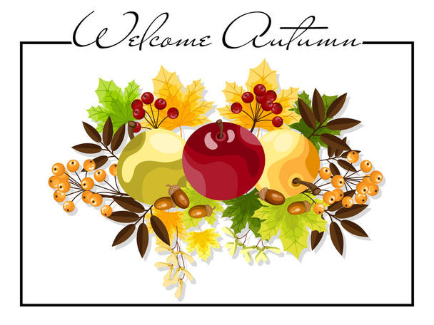 Őszi háttér Üdvözöljük Őszi szöveg őszi juharfalevelek, alma, makk, magvak és bogyók fehér alapon. Vektorillusztráció. - Vektor, kép