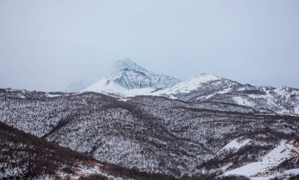  Kuzey Osetya Kafkasya 'nın dağ manzarası - Fotoğraf, Görsel