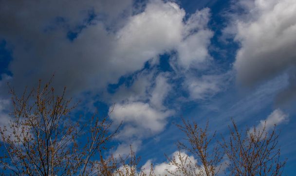miękkie białe chmury na tle niebieskiego nieba - Zdjęcie, obraz