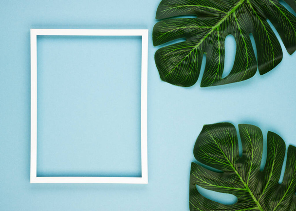 Empty white frame and tropical leaves on a blue pastel background with a copy of the space. Filter with a soft effect. Minimal concept. - Photo, image