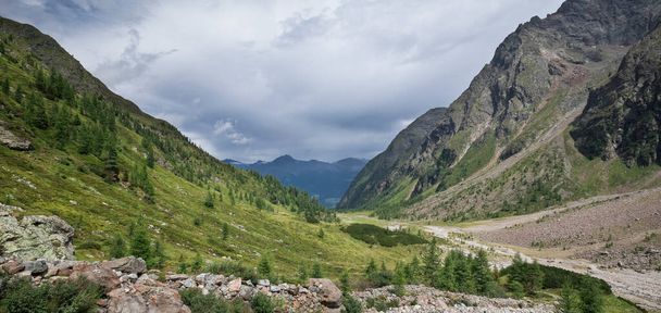 Gradental mountain panorama in national park Hohe Tauern with view in valley Gradenmoos, overcast day, Austria - 写真・画像
