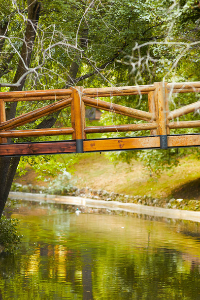 Деревянный мост в природном парке Мадрида, Испания
 - Фото, изображение