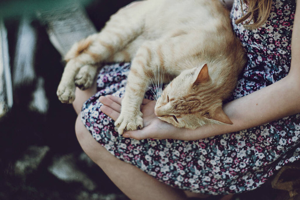 Ginger cat sleeping on her knees. Pressed, gently.Noise effect. - Foto, imagen