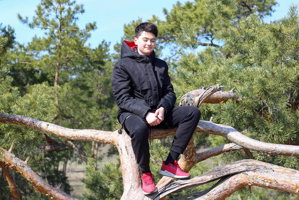 Valkoinen poika mustissa vaatteissa ja punaisissa lenkkareissa istuu haarautuneessa puussa. Teini-ikäisen pojan muotokuva sinisen taivaan ja vihreiden mäntyjen taustalla - Valokuva, kuva
