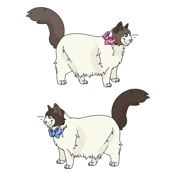 Χαριτωμένο καρτούν Ragdoll αγόρι και κορίτσι clipart φορέα γάτα. Γενεαλογικό γατάκι φυλή για τους λάτρεις της γάτας. Αγνό φιογκάκι γατάκι για κατοικίδιο με φιόγκο. Εικόνα Feline EPS 10. - Διάνυσμα, εικόνα