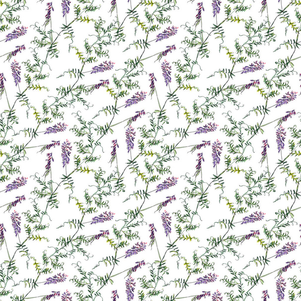 padrão sem costura de aquarela desenho de cor gráfica do mouse Vaca ervilhaca com flores roxas e folhas verdes delicadas em um fundo branco
 - Foto, Imagem
