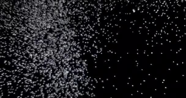 Πτώση χιονιού σε μαύρο φόντο - Πλάνα, βίντεο