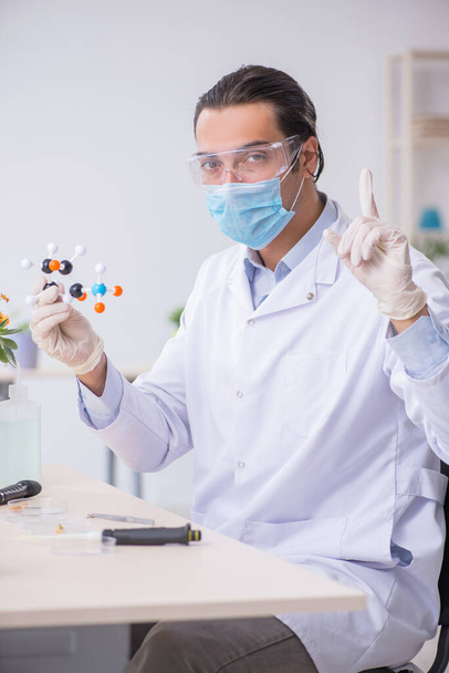 Young male chemist working in the lab - Photo, Image